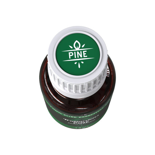 Pine Essential Oil-Free-Sample